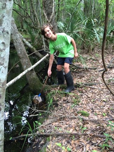 Cape Romain Environmental Education Charter School (CREECS) fifth graders collected macro-invertebrates from freshwater wetlands on the Francis Marion National Forest.