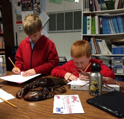 Pinckney Elementary students explored the world of marine invertebrates in their classroom lesson and learned about the importance of seven groups of invertebrates in the food web.  